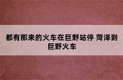 都有那来的火车在巨野站停 菏泽到巨野火车